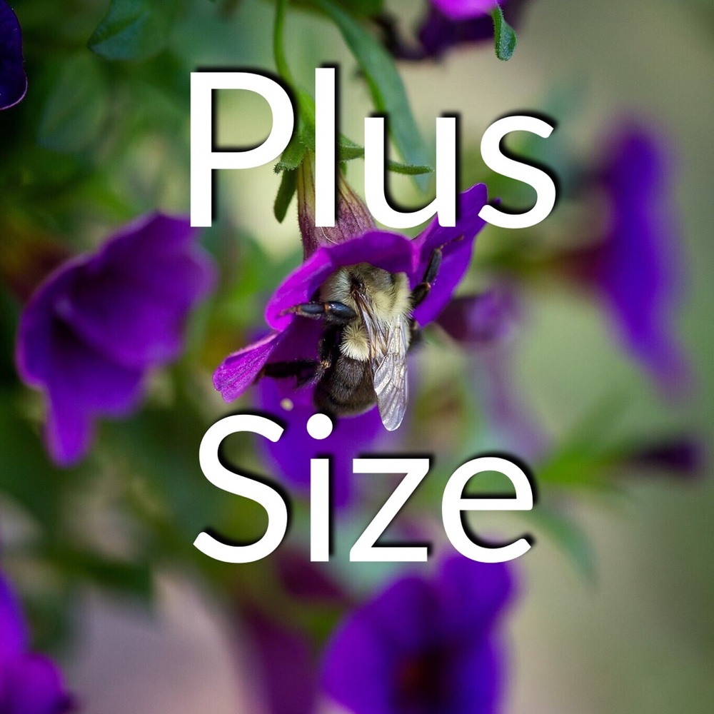 Everything Plus Size